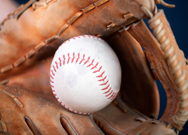 Everything You Have Ever Wanted To Know About Baseball