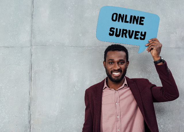 Online surveys and reviews job